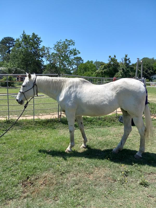 Prissie 33 year old TB