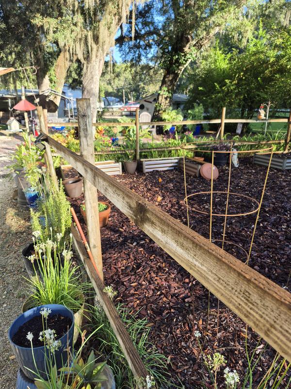 Best Raised Garden Beds Ever!