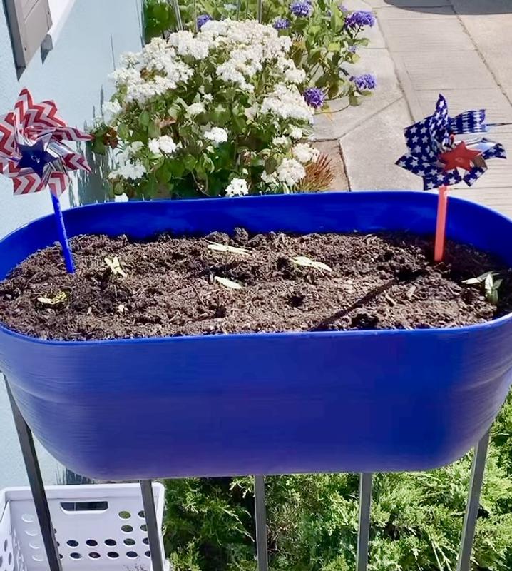 Ridiculously cute planter