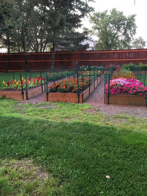 Protecting our flowers from critters