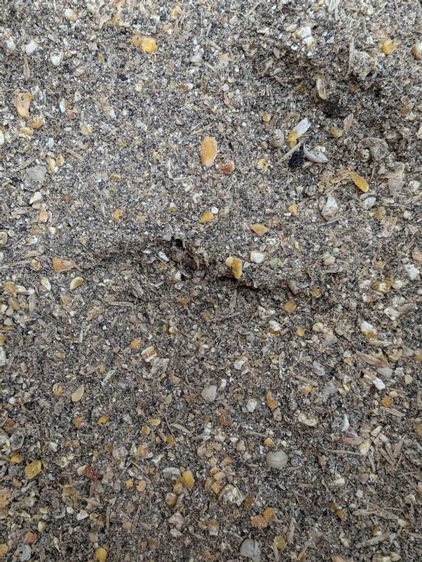 Powdered Grains