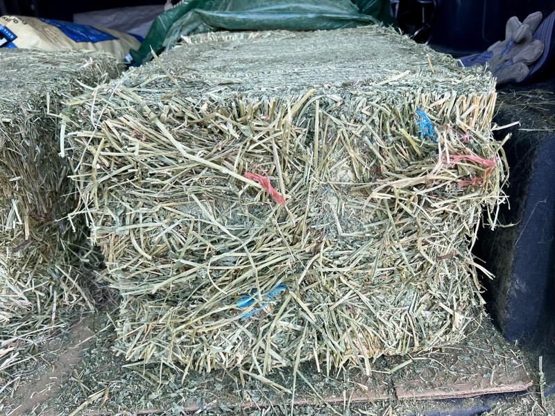 Plastic twine pieces