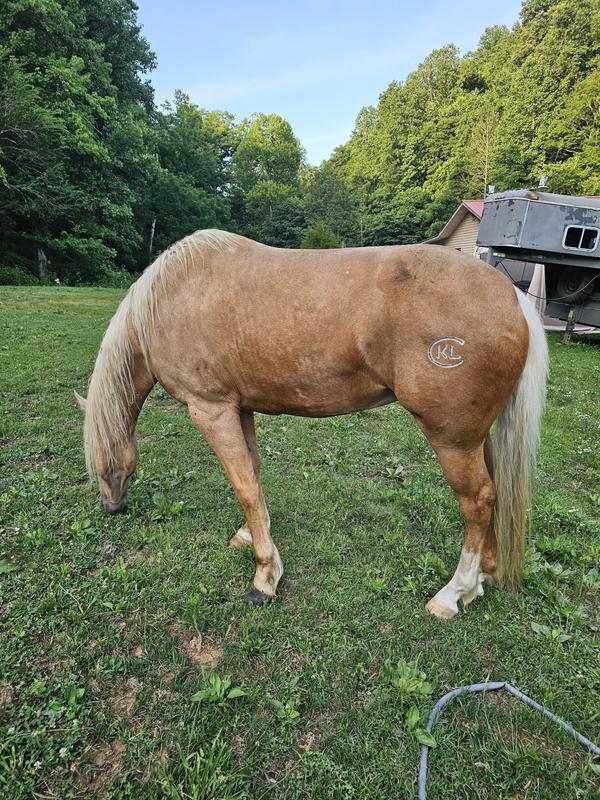 Review photo 4.