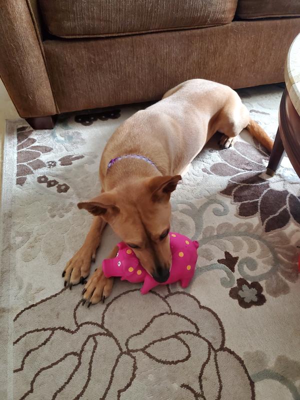 Charlotte with pink pig