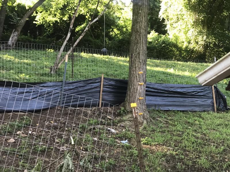 Hillside erosion prevention. Rerouting  well so far. Finishing now