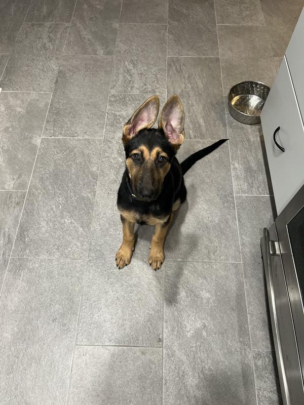 Good girl