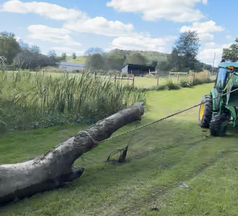 Easy day pulling this dead log out of the creek