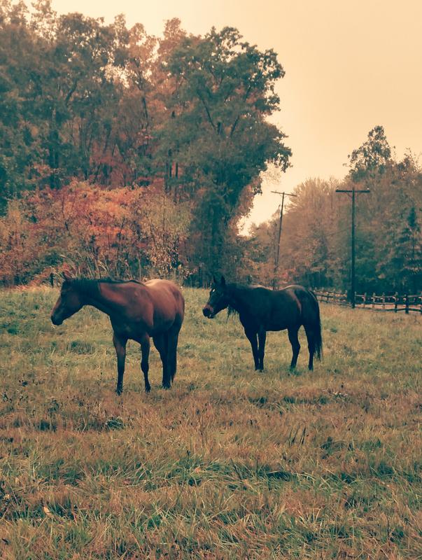 Remi and Mag