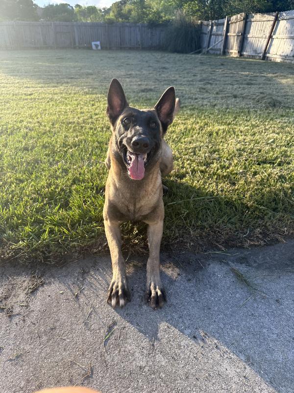 she was feeling extra feisty at dinner time!