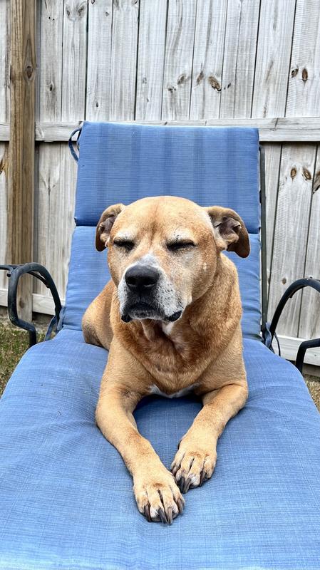 Soaking up the sun