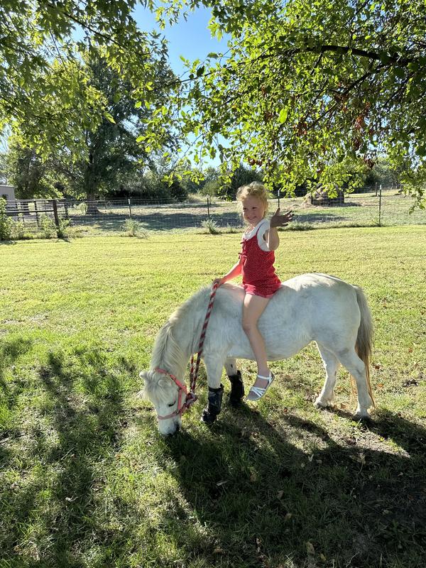 Dolly