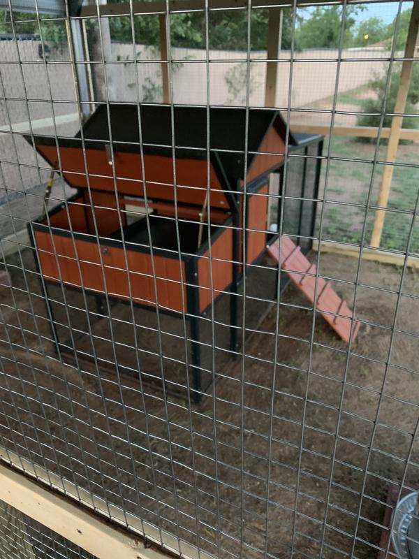 Been using since Chicks came home! Absolutely Recommend this Product!