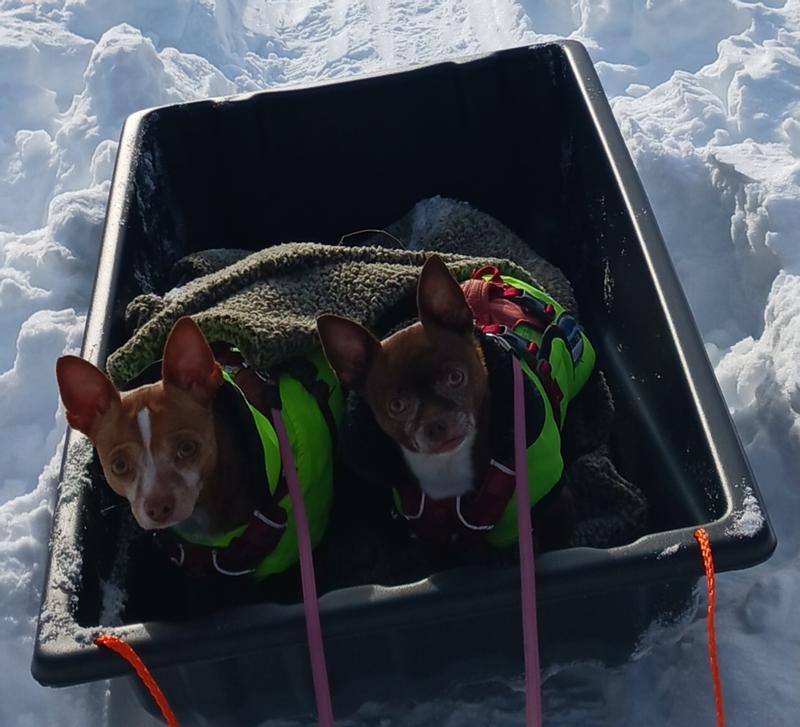 Snuggled under the blanket