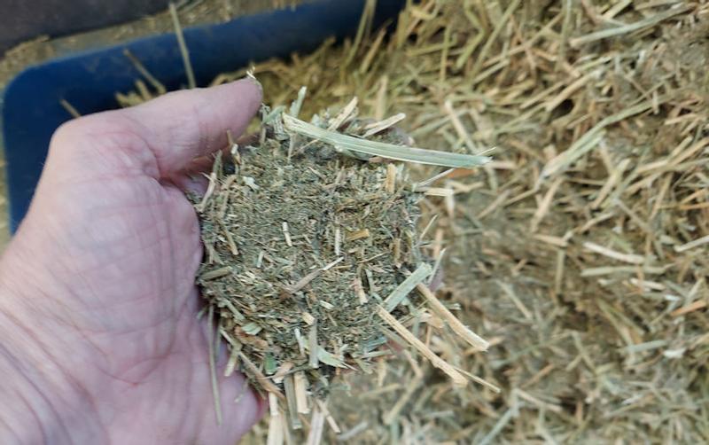 15lb of hay, 35lb of dust