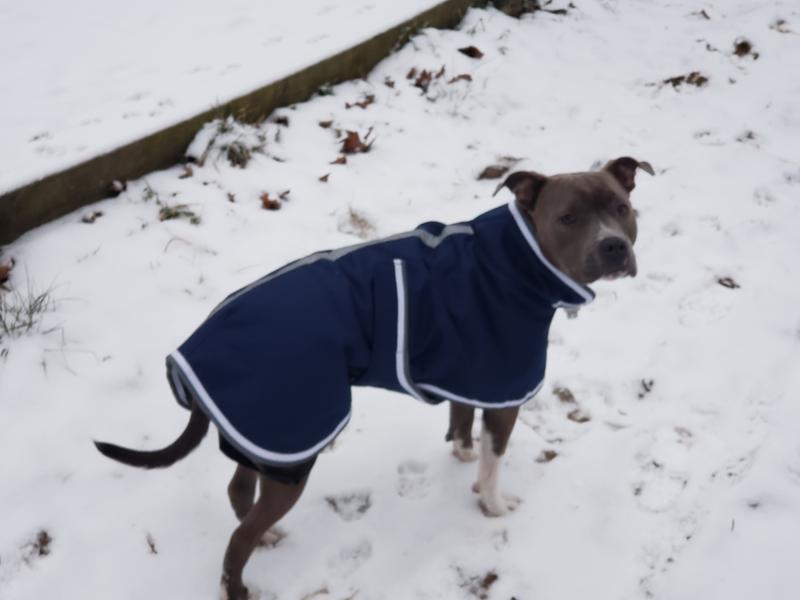 Snug as a bug in a rug