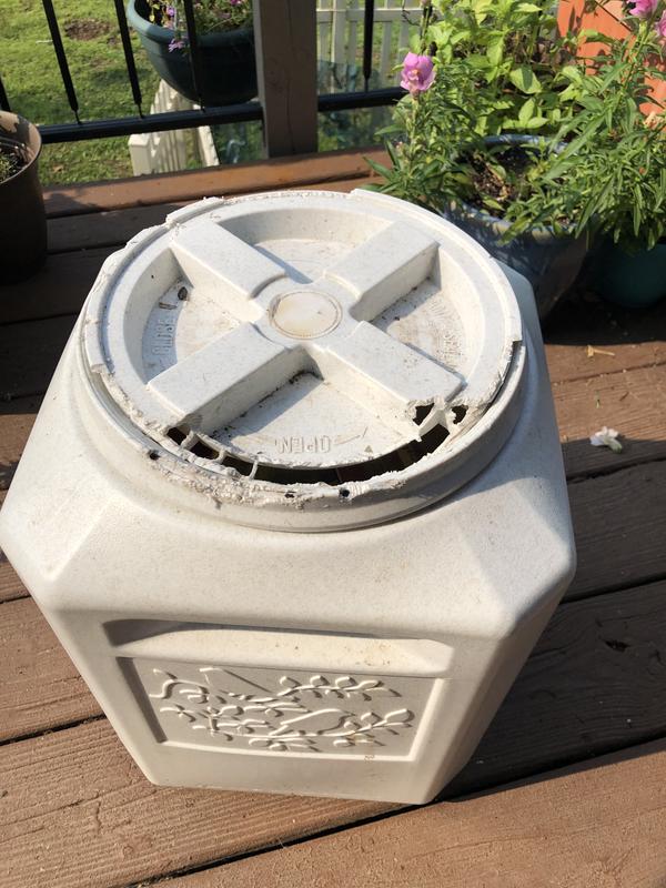 Squirrels don’t give up.