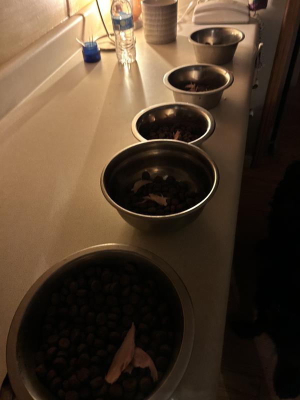 Review photo 3.