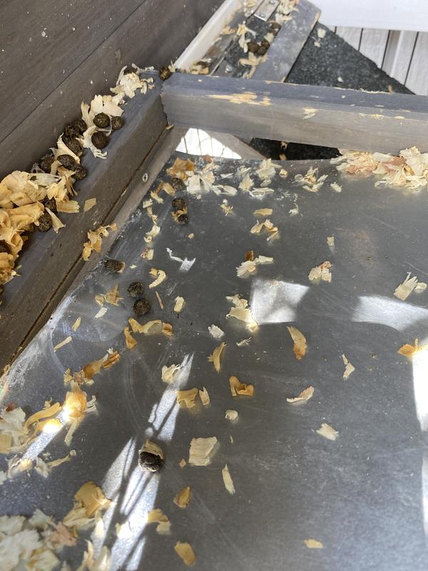 The floor falling out of the second level