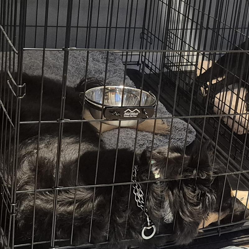 Clipped middle between 2 door latches and bottom to keep tray in & prevent pushing theough the bottom