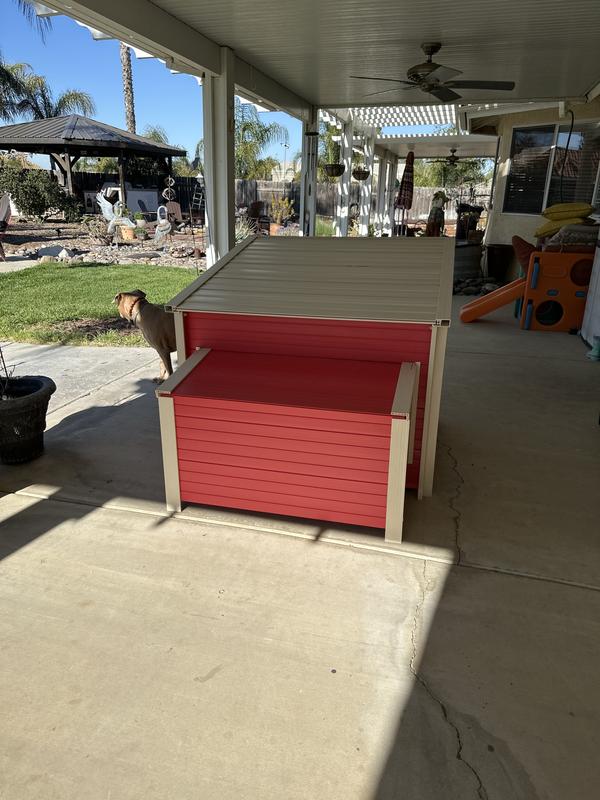 Back view of nesting boxes