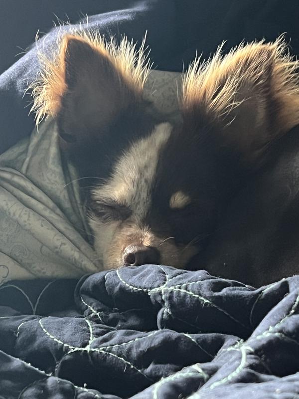 Alive and full of energy