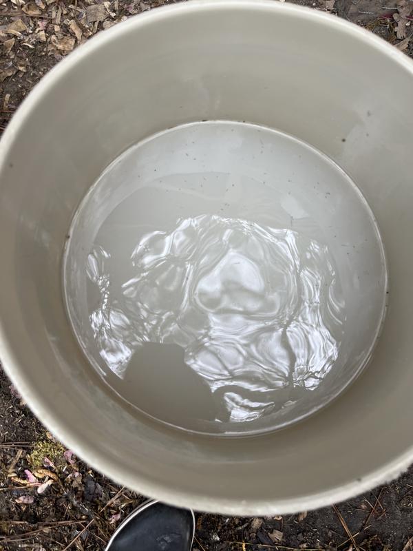 Can see the dead bugs if you zoom in