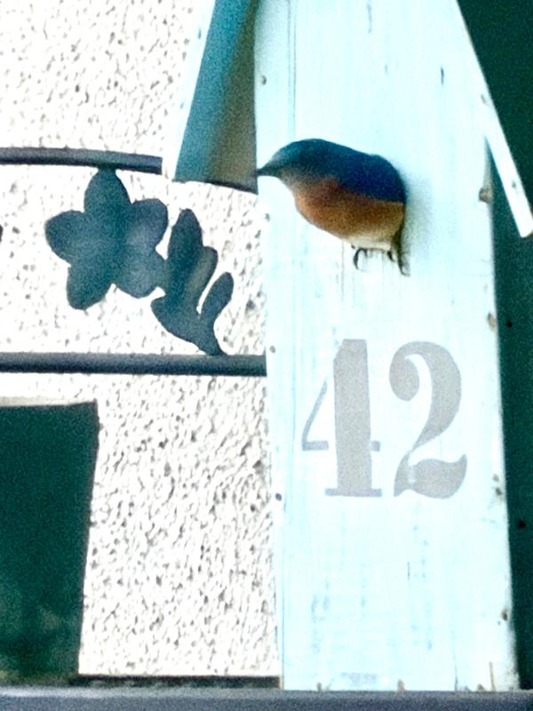 Review photo 6.