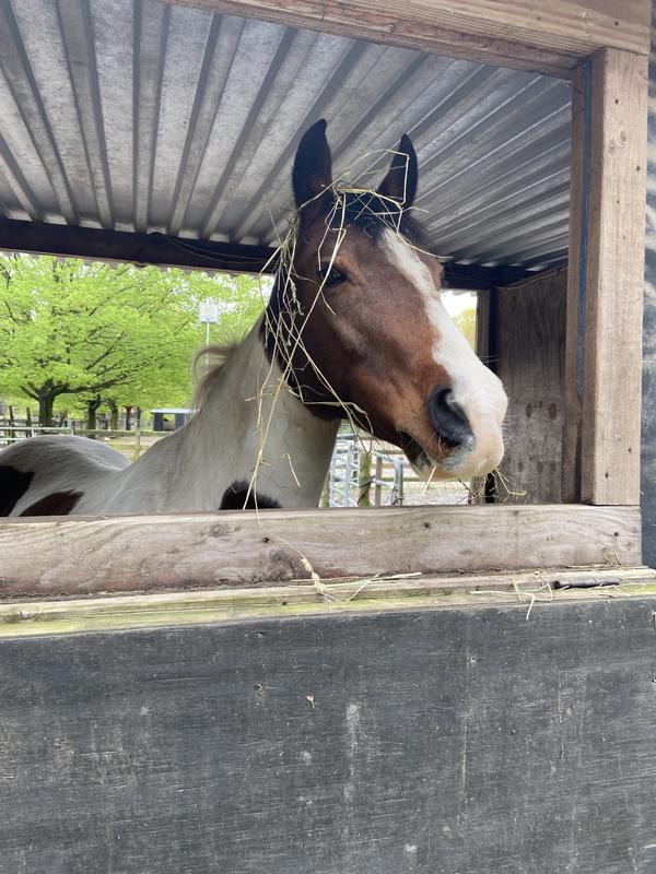 Jahnee loves them & so does her boyfriend Gil