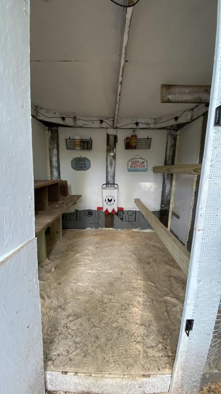 Coop after 10 bags were laid. As you can see it is not thick at all.