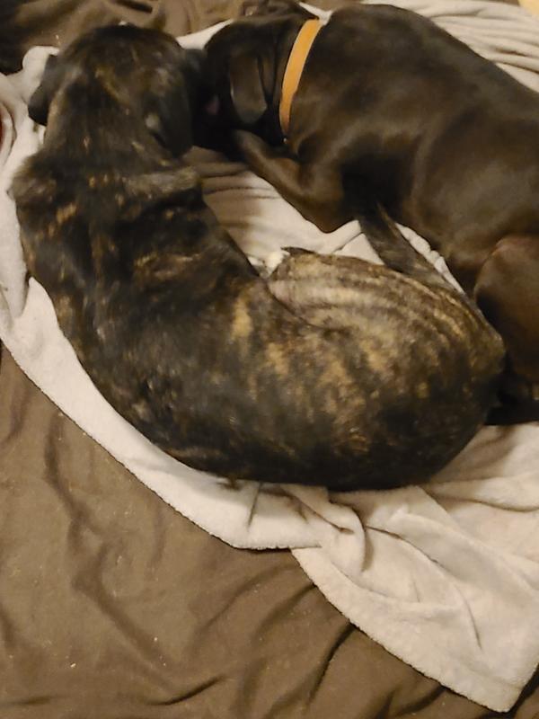 Healthy , recovery , life