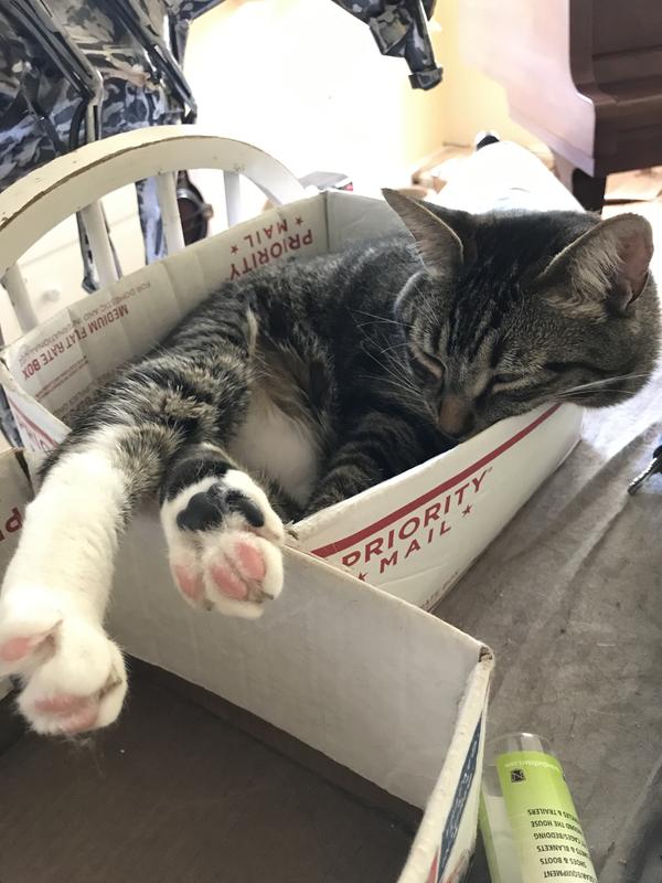 Different kind of a cat box