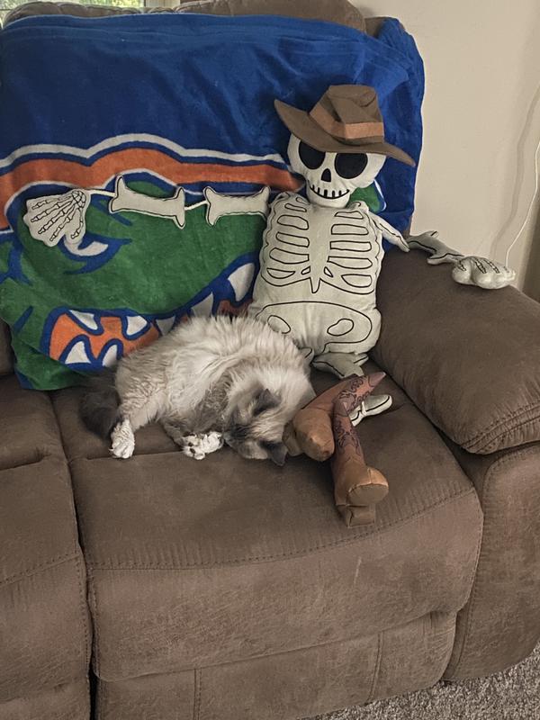 Cat on skeleton pillow