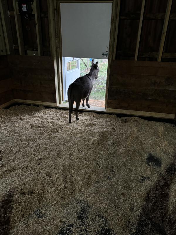 Bottom half of Dutch door opens with the gate opener mounted on outside 
Only opens 90degrees