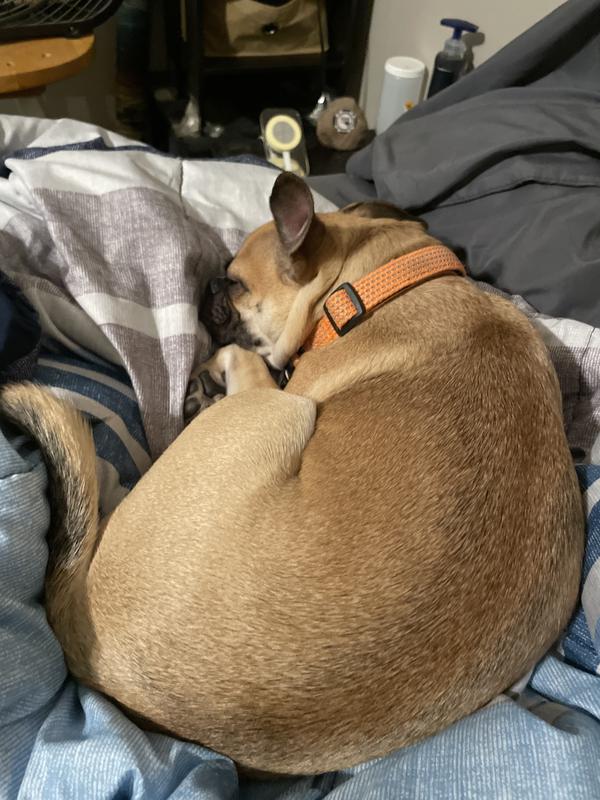 She’ll be 2 next year