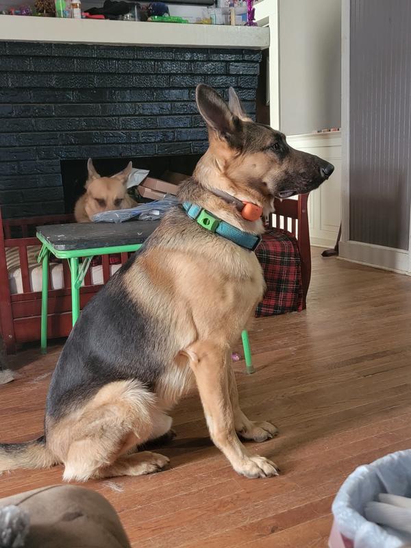 Houdini