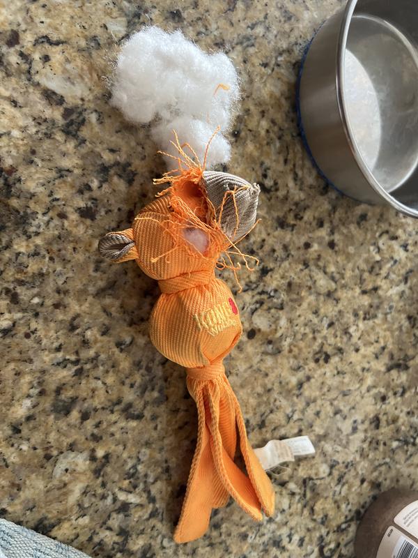 Kong animal head wubba after 48 hours of dog use.