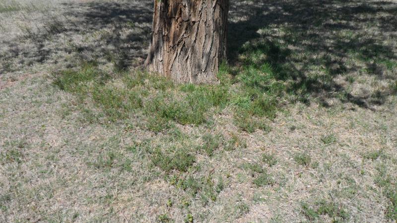 Review photo 5.