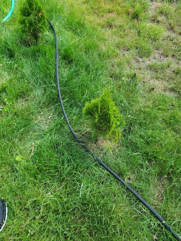 Photos are all taken with the hose on as you can see in photo number one I have a giant puddle and in