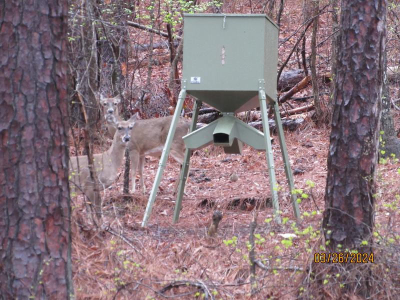 Treeline 600 Lb Timed Protein Feeder At Tractor Supply Co