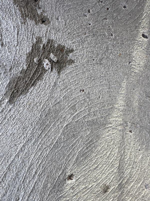 Pitted areas and small chunks of concrete. It was NOT shoveled either. I really wanted to like this.