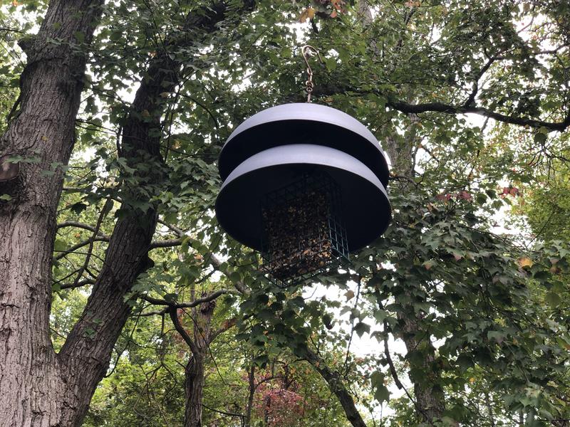 We need double baffles to keep the squirrels from a feast.