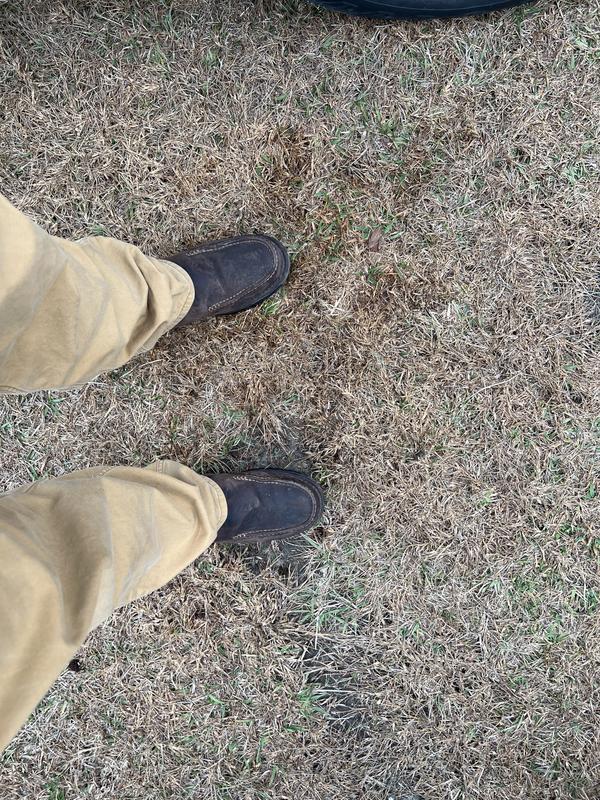 Review photo 5.