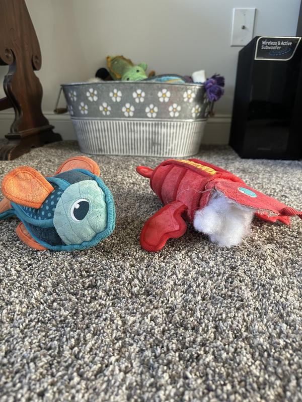 Review photo 1.