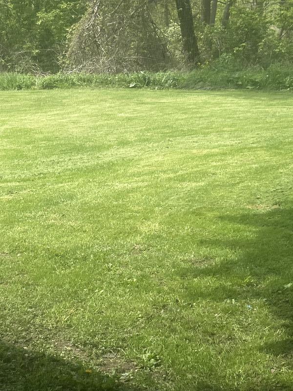 Stupid that I need an image to let ppl know it works for this model of lawnmower