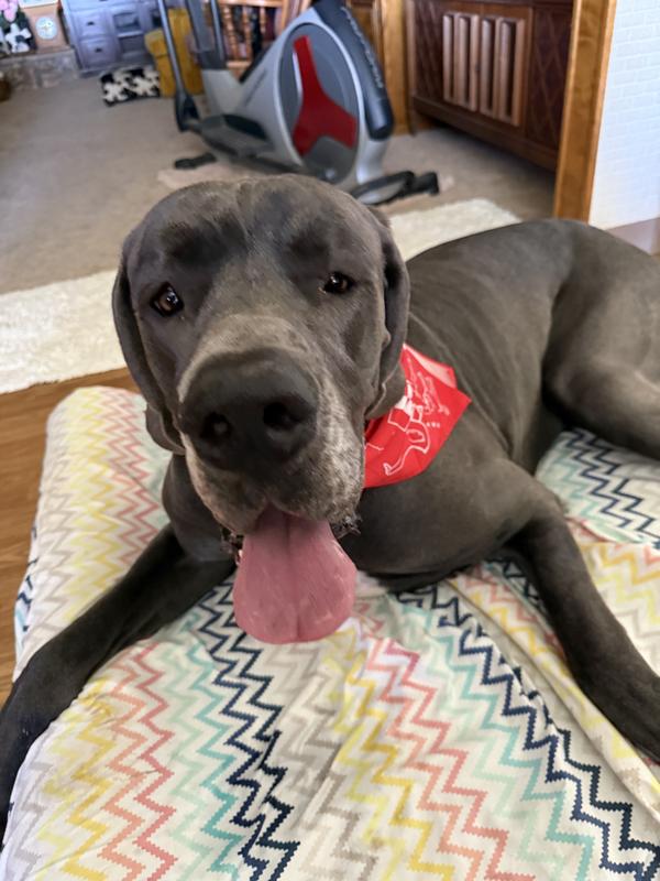 Bodie and his TSC hanky