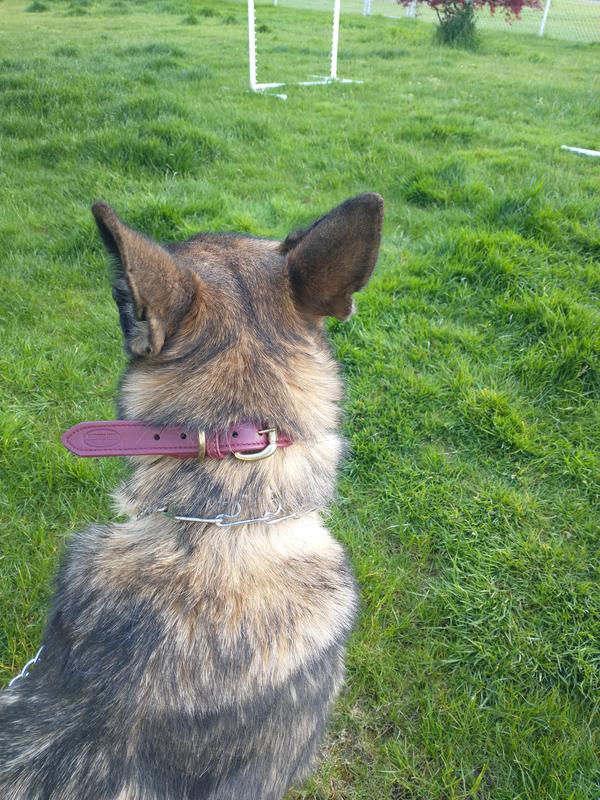 Measurements said middle hole should have fit, needed to use smallest due to excess length.