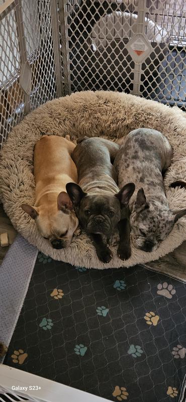 Our beds are cozy