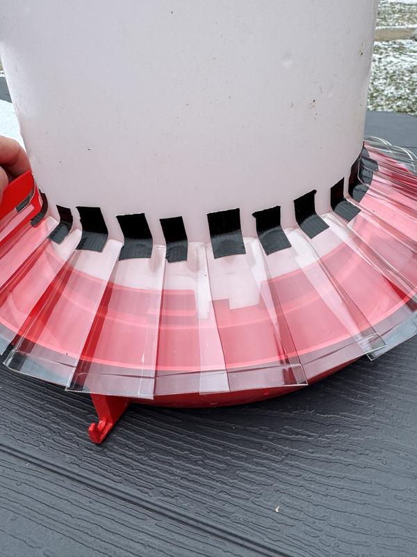 Chicken Anti-Pooping in the Reservoir Skirting