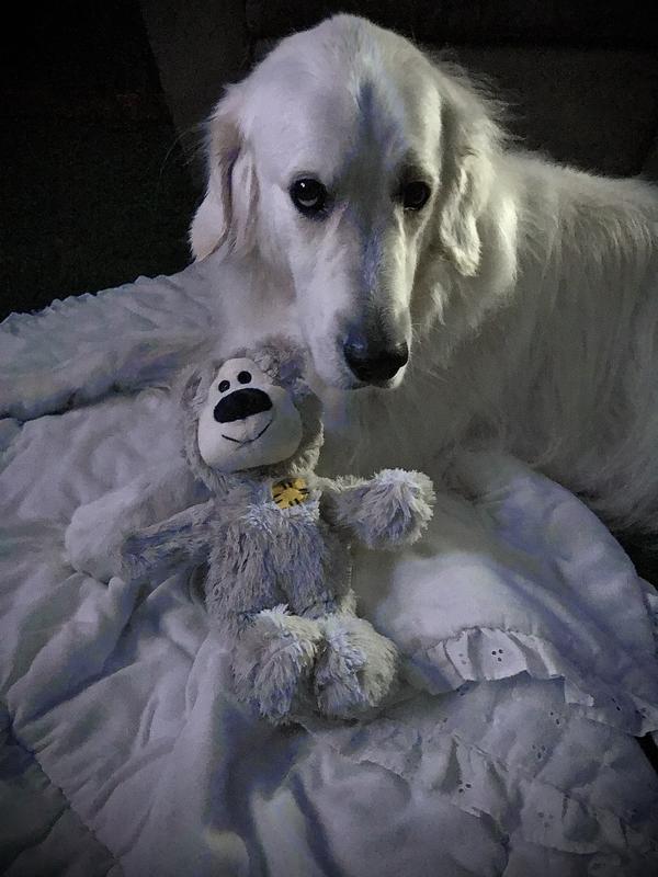 G-man says he loves it!!