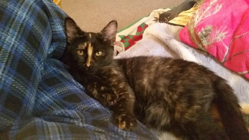 Chilling Rescue